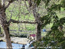 Cliquez pour agrandir angouleme