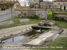 Cliquez pour agrandir Moutonneau