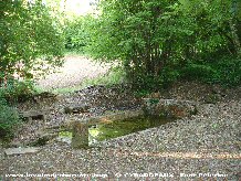 Cliquez pour agrandir st_cybardeaux